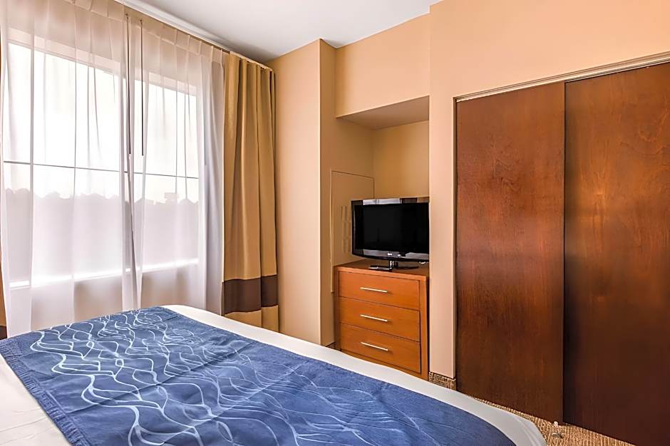 Comfort Inn & Suites IAH Bush Airport - East