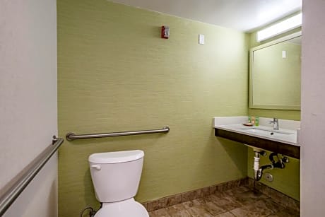 Queen Room with Bathtub Grab Bars - Mobility Access/Non-Smoking