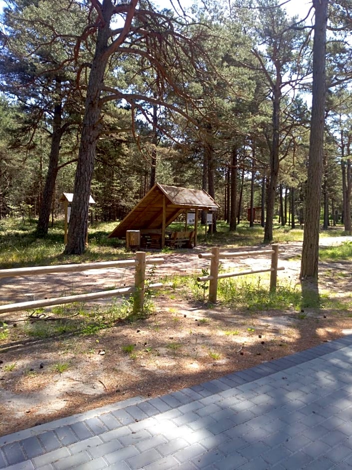 Niezapominajka Kopalino