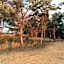 Kigeni Safari Lodge & Spa