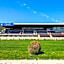 B&B Chuchle Arena Praha