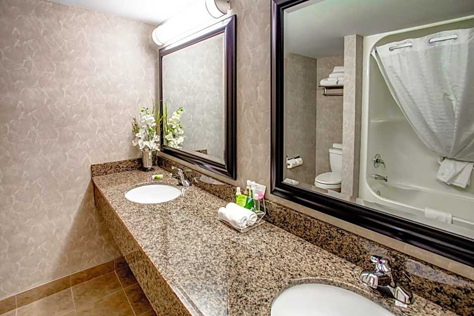 Royal Hotel West Edmonton, Trademark Collection by Wyndham