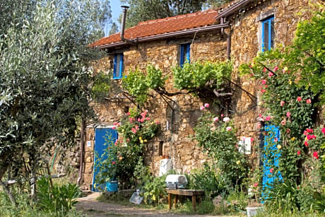 Guest Room B&B Agro-turismo Quinta da Fonte