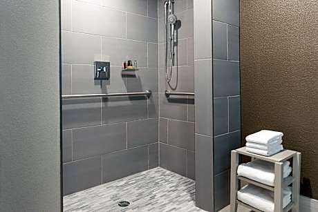 Room, 1 King Bed (Mobility Accessible, Roll-in Shower)