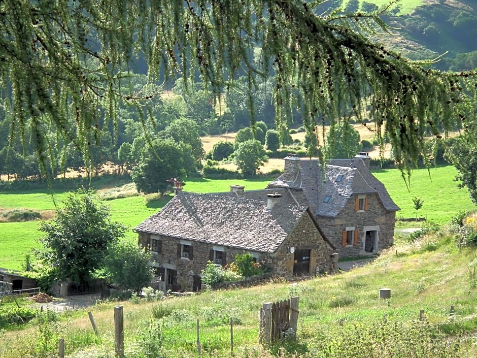La Tarabelle — 29 fotoğraftan 1. fotoğraf