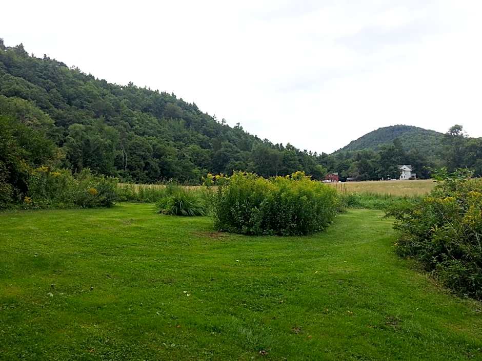 A Meadow House
