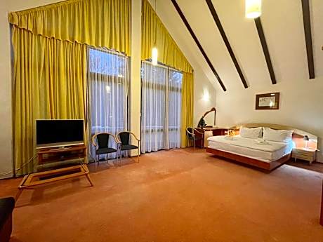 Apartment with Mountain View