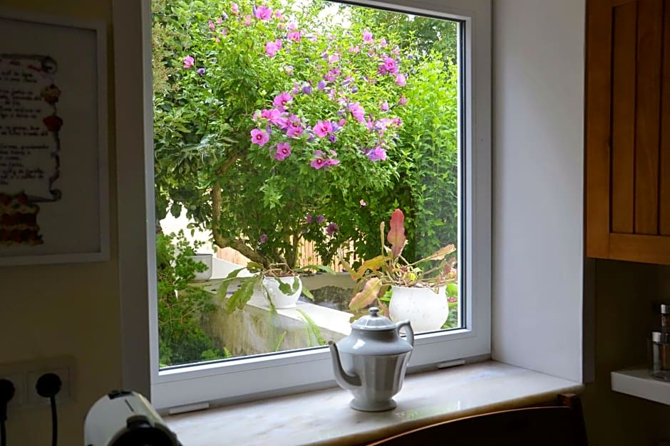 Quinta D'Avó Amélia