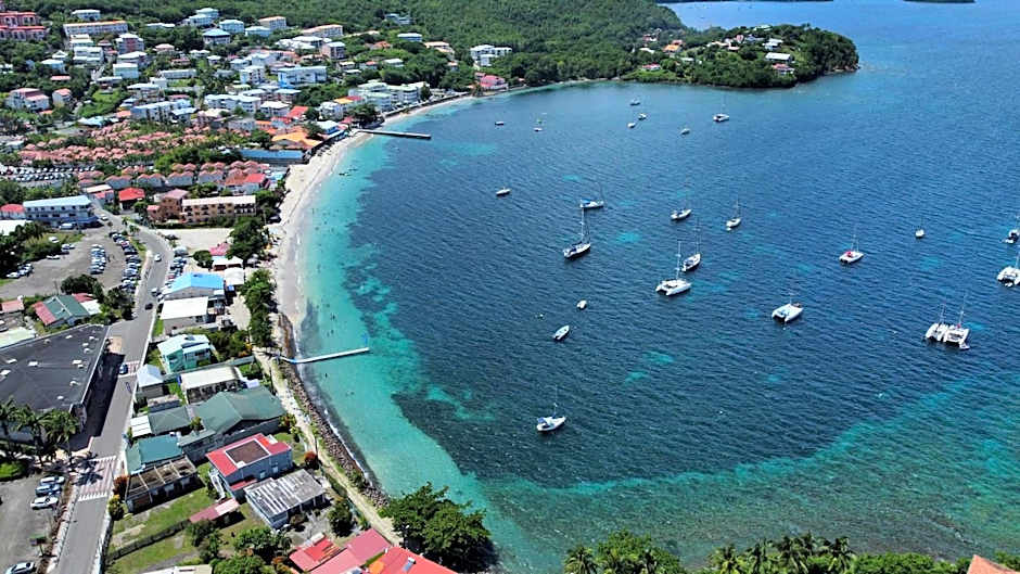 Lilibellule - Apt 107