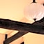 HARUYA Umekoji