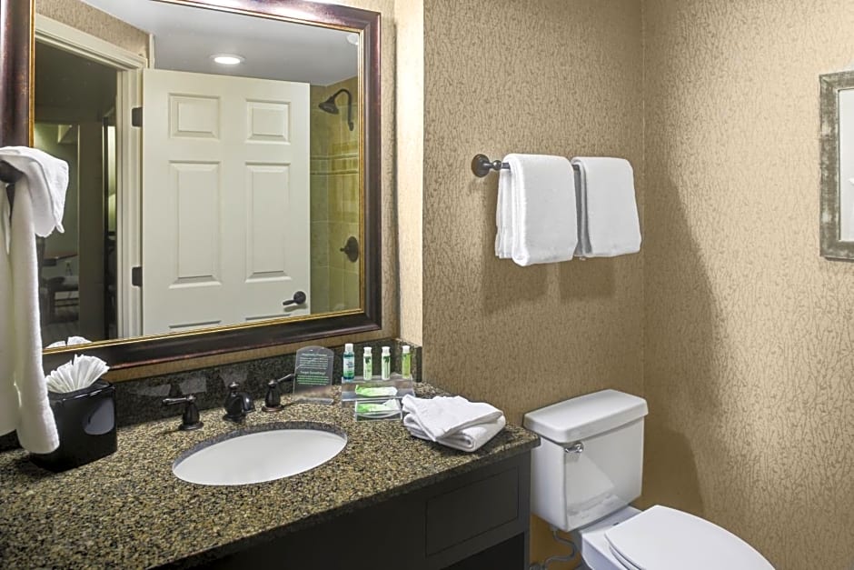 Holiday Inn Express Hotel & Suites Atlanta Buckhead by IHG