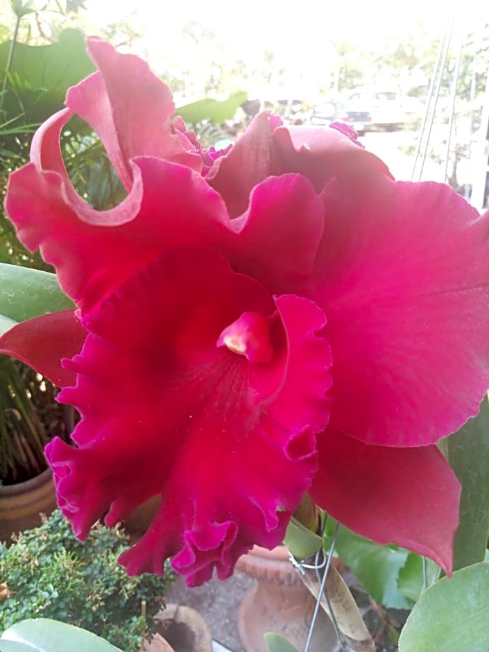 B&B View Talay 1B Residence by Dao