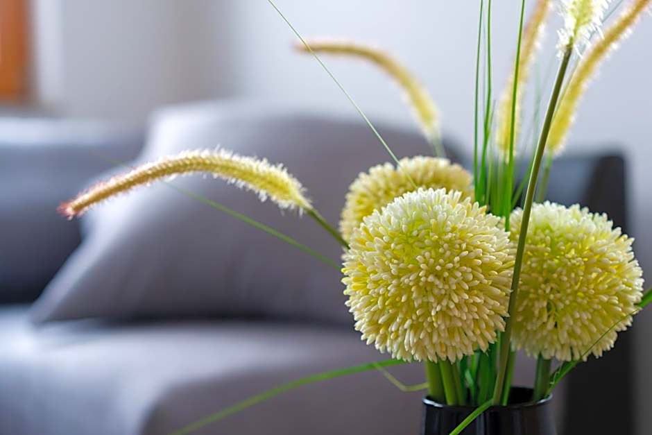 PJagodic Apartments & Wellness