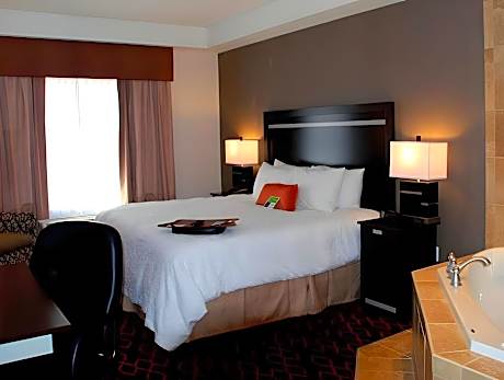 1 King Bed Accessible Studio Suite Nonsmoking