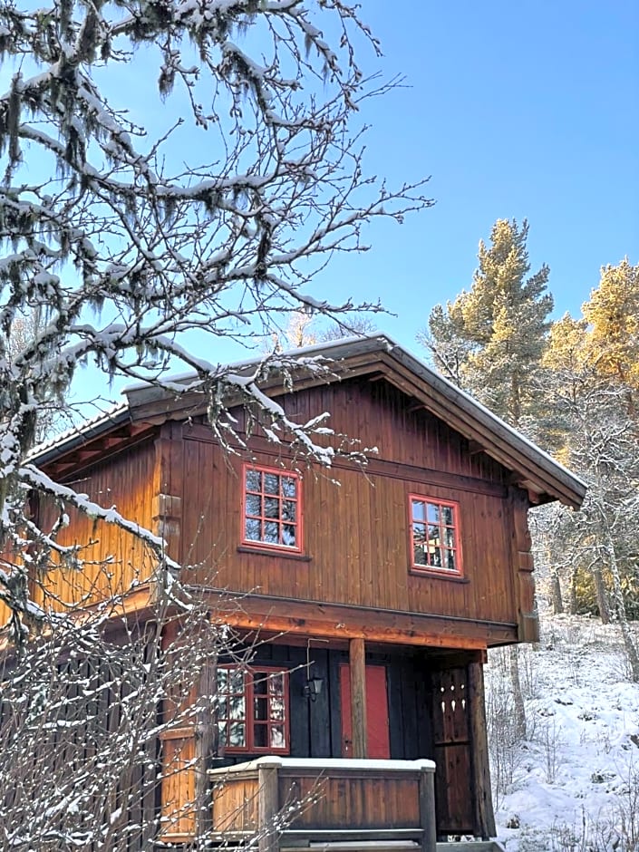 Måsåplassen Friisvegen Mountain Lodge
