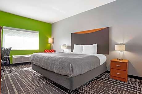 1 King Bed, Nonsmoking, Accessible