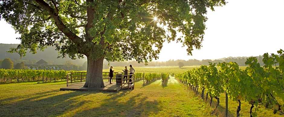 Denbies Vineyard Hotel