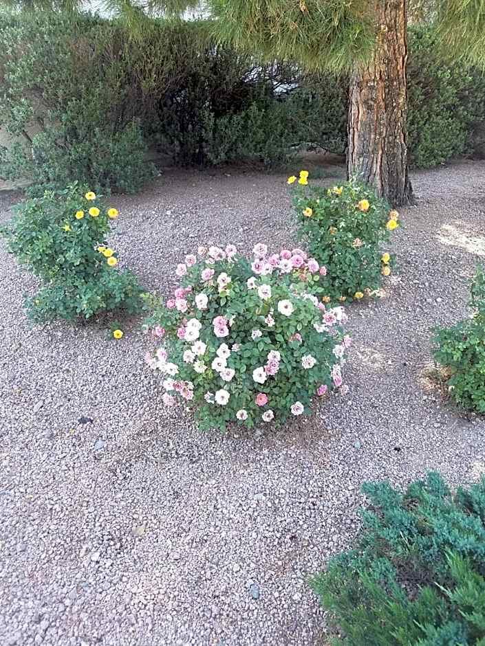 Days Inn by Wyndham Camp Verde Arizona