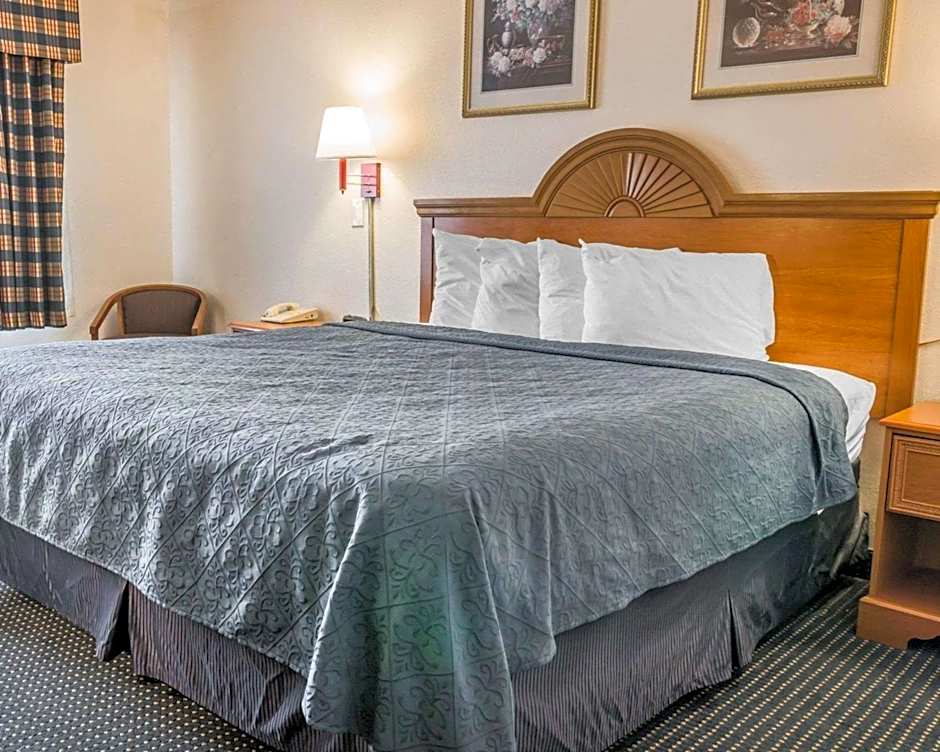 Quality Inn Kalamazoo near Wings Stadium