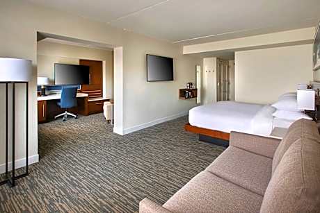 Suite, 1 King, Sofa bed