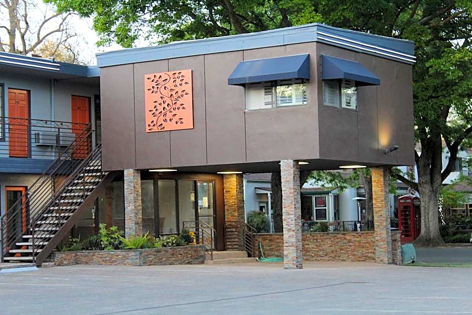 The Vine Inn Davis