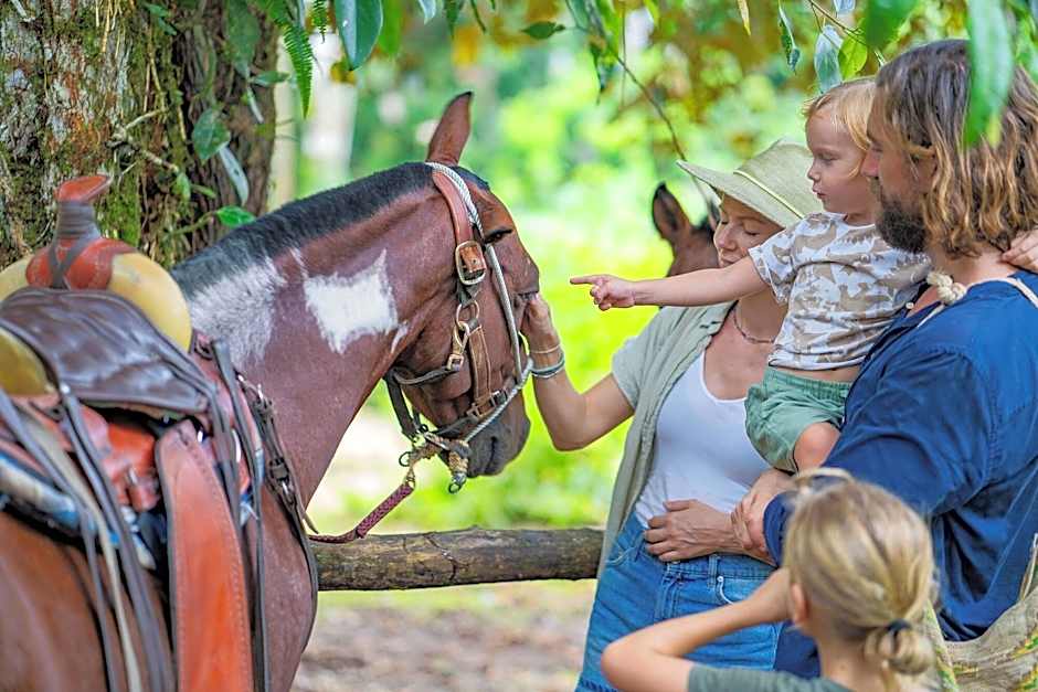 Chachagua Rainforest Hotel & Hot Springs