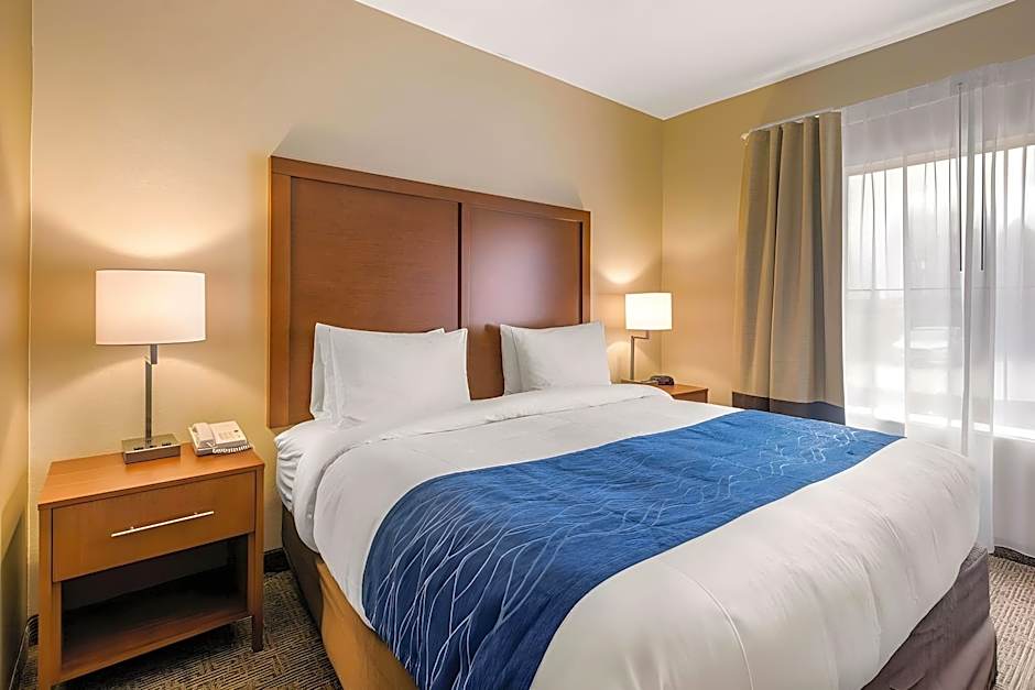 Comfort Inn & Suites IAH Bush Airport - East