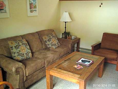 Deluxe One-Bedroom Apartment