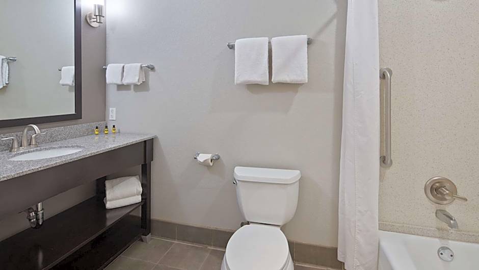 Best Western Plus Austin Airport Inn & Suites