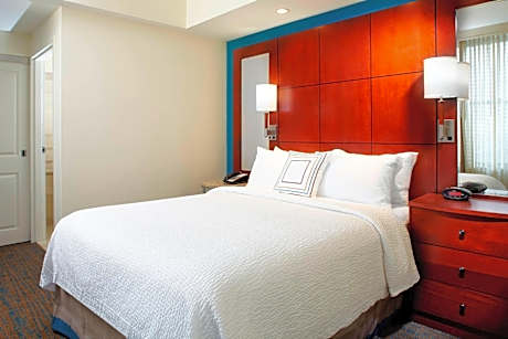 One-Bedroom Queen Suite with Sofa Bed