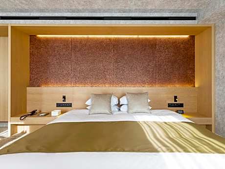 Deluxe King Double Room with City View