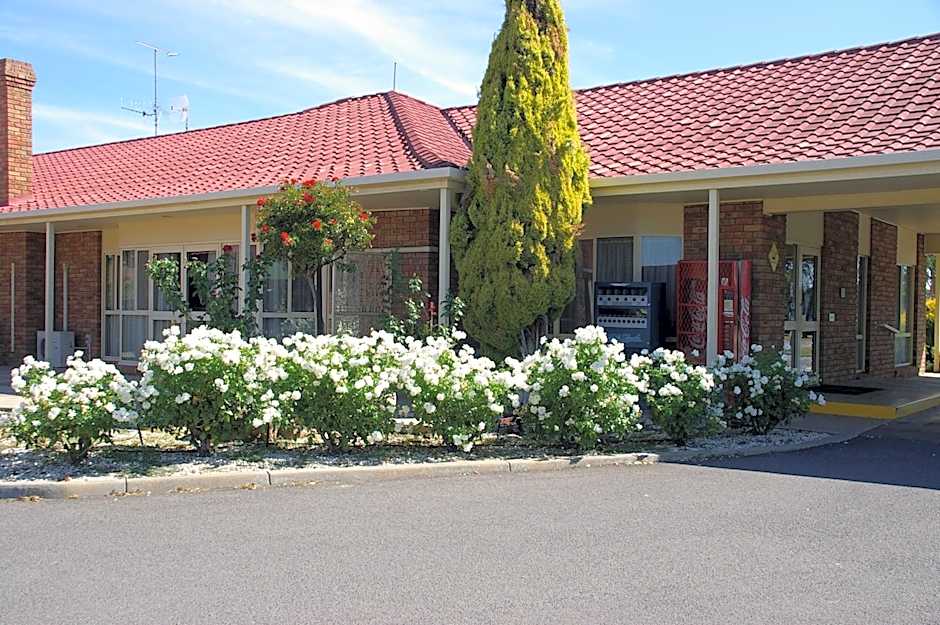 Pines Country Club Motor Inn