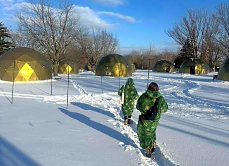 DayDreamer Domes