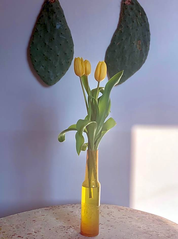 HABITARE Lecce & Salento