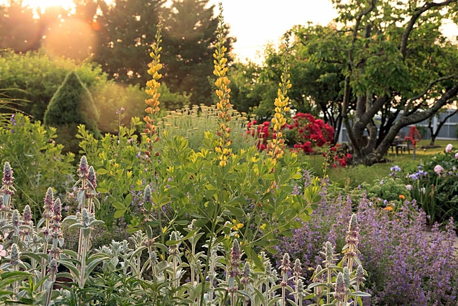 L'Auberge Provencale Inn & Restaurant