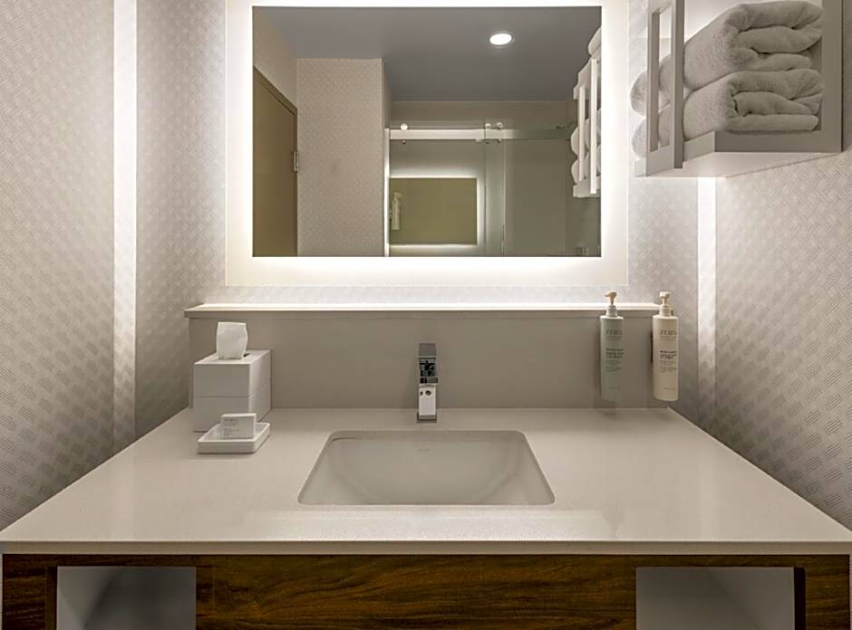 Hampton Inn By Hilton And Suites Richmond Glenside