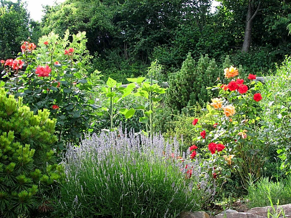 Bed & Breakfast La Val