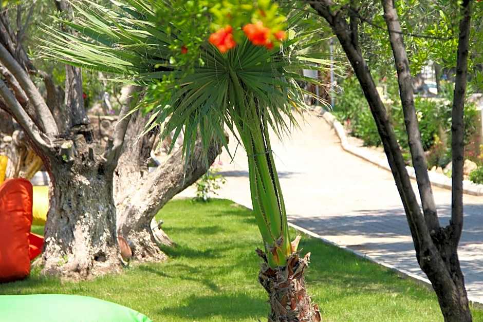 Kayalar Blue Beach Hotel