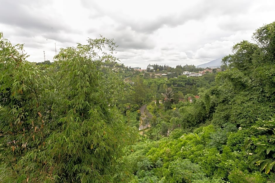 Super OYO Collection O 3130 D'Valley View