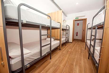 Single Bed in 10-Bed Dormitory Room