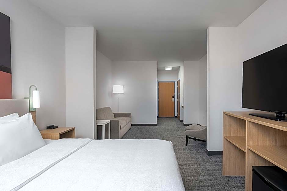 Spark by Hilton Dumas