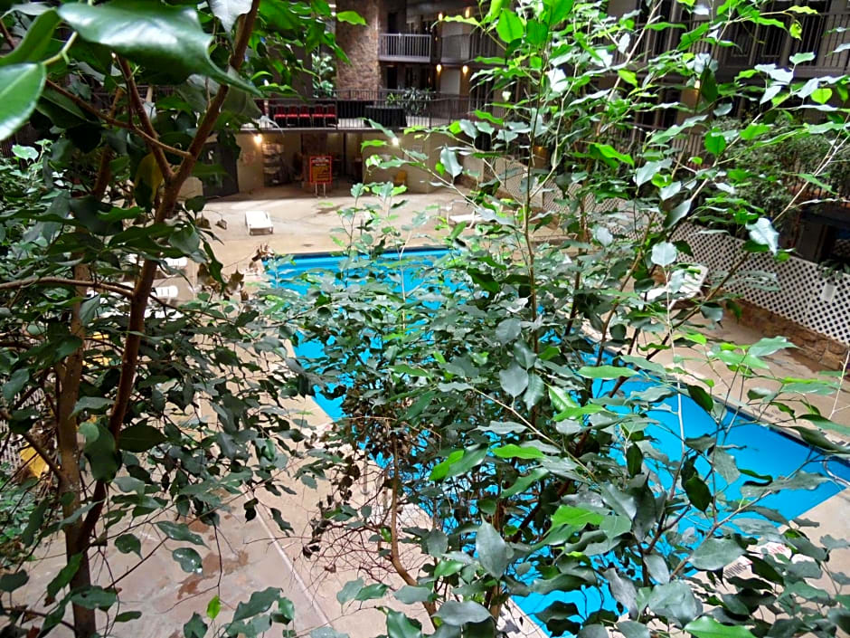 1Hotel