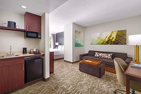 Larger King Suite with Trundle Sofa
