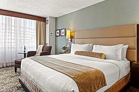 Junior Suite with King Bed