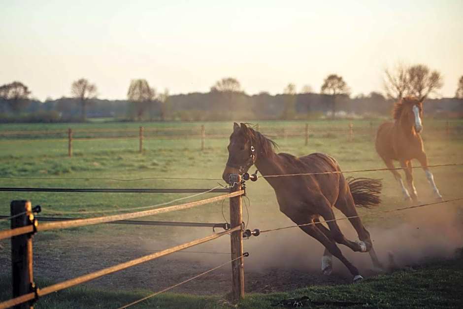 Boertel Lamperse Hei