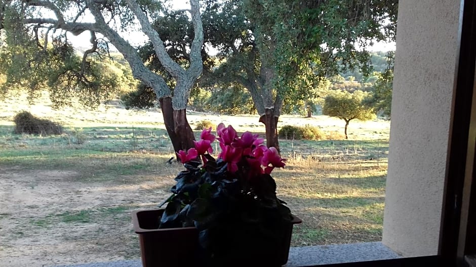 Agriturismo La tanca