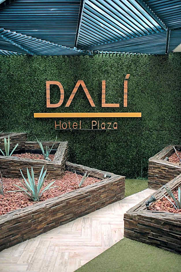 Hotel Dali Plaza Ejecutivo
