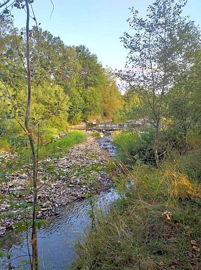 Zajazd Joniec Małgorzata