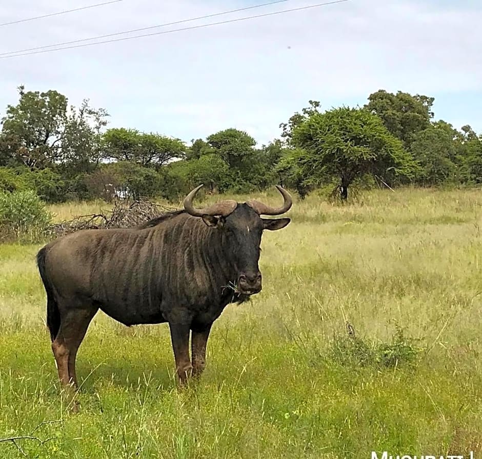 Muqurati Lodge - Dinokeng Game Reserve