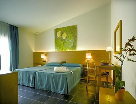 Double or Twin Room with Spa Access